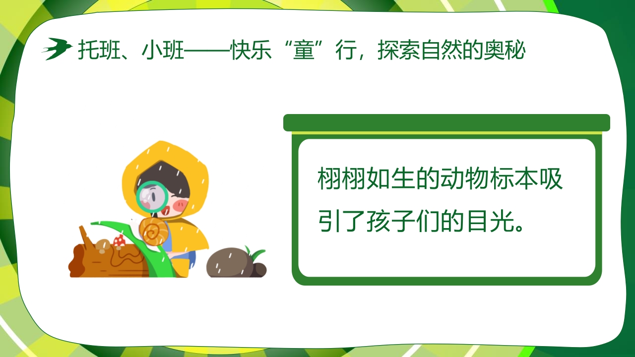 “春游踏青”幼儿园春游活动策划PPT课件12