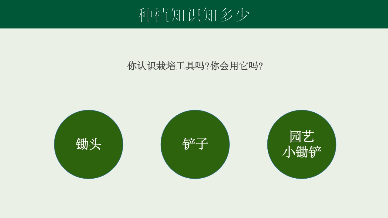 《种下希望收获美好》幼儿园种植活动PPT课件10