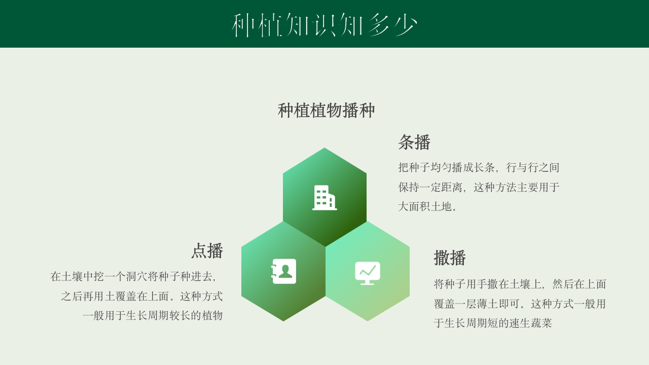 《种下希望收获美好》幼儿园种植活动PPT课件11