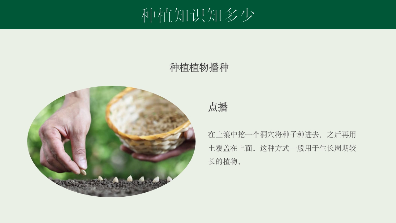 《种下希望收获美好》幼儿园种植活动PPT课件12