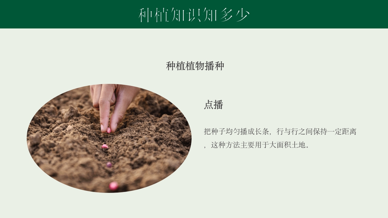 《种下希望收获美好》幼儿园种植活动PPT课件13