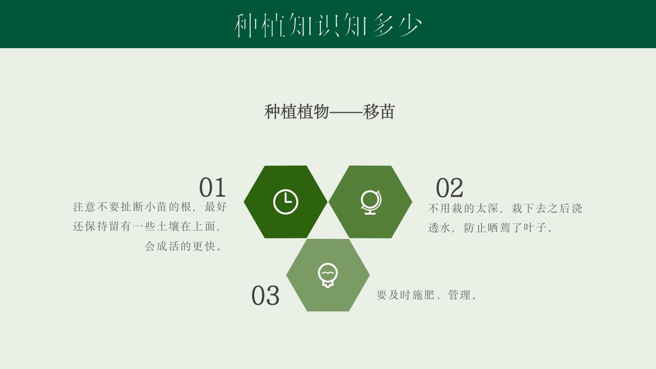 《种下希望收获美好》幼儿园种植活动PPT课件15