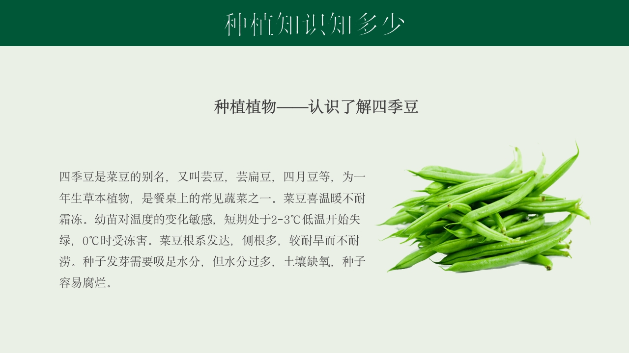 《种下希望收获美好》幼儿园种植活动PPT课件17