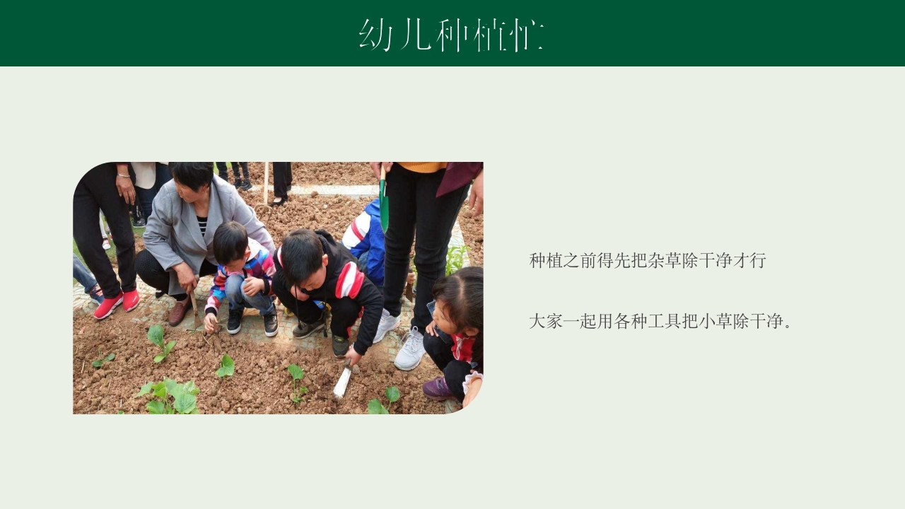 《种下希望收获美好》幼儿园种植活动PPT课件19