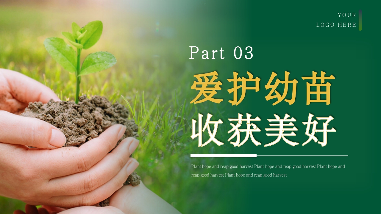 《种下希望收获美好》幼儿园种植活动PPT课件21