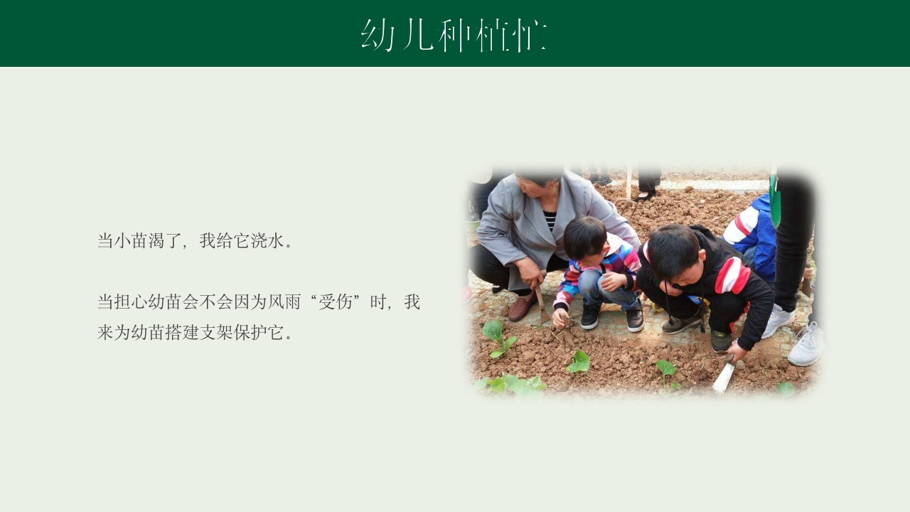 《种下希望收获美好》幼儿园种植活动PPT课件22