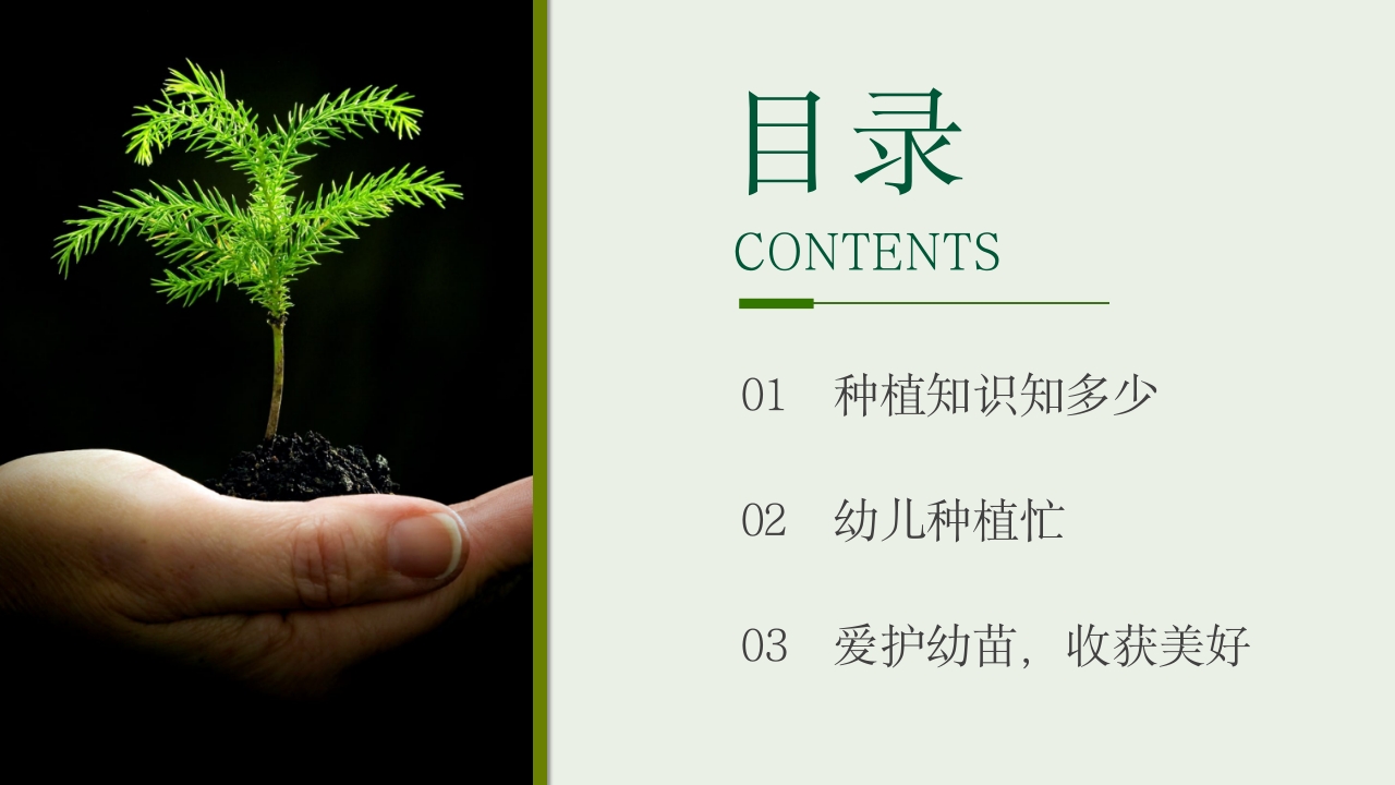 《种下希望收获美好》幼儿园种植活动PPT课件2