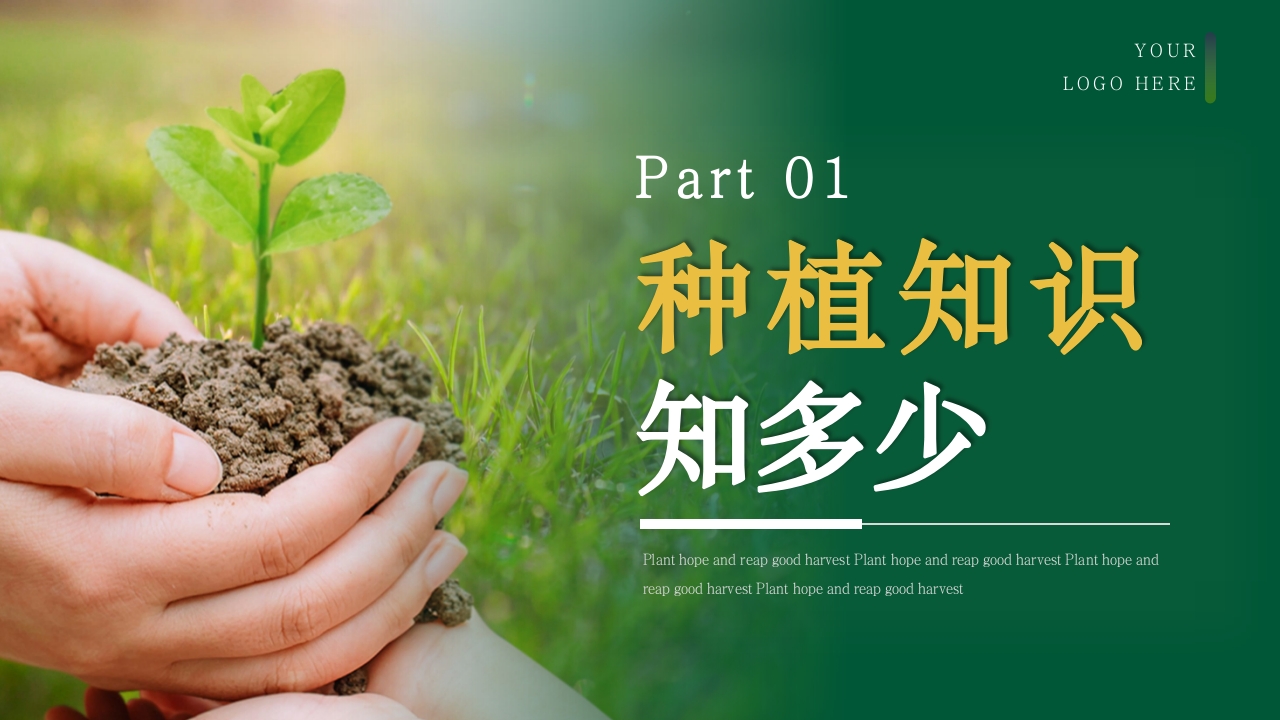 《种下希望收获美好》幼儿园种植活动PPT课件3
