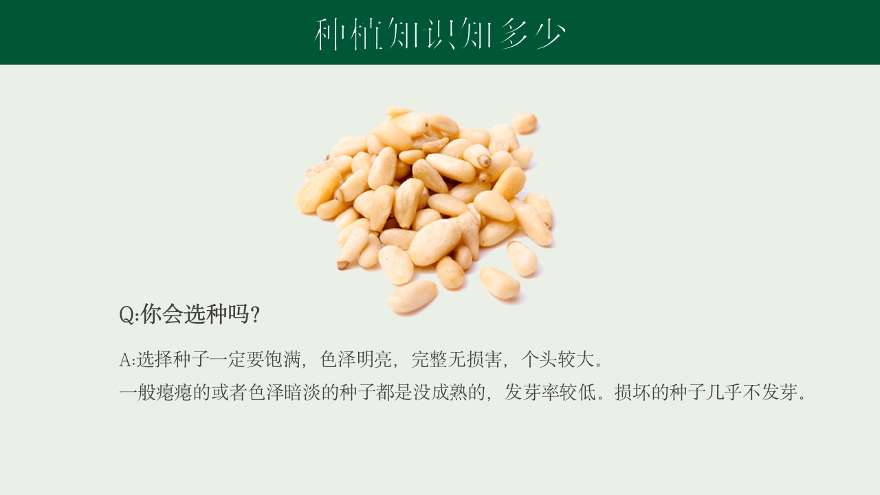 《种下希望收获美好》幼儿园种植活动PPT课件4