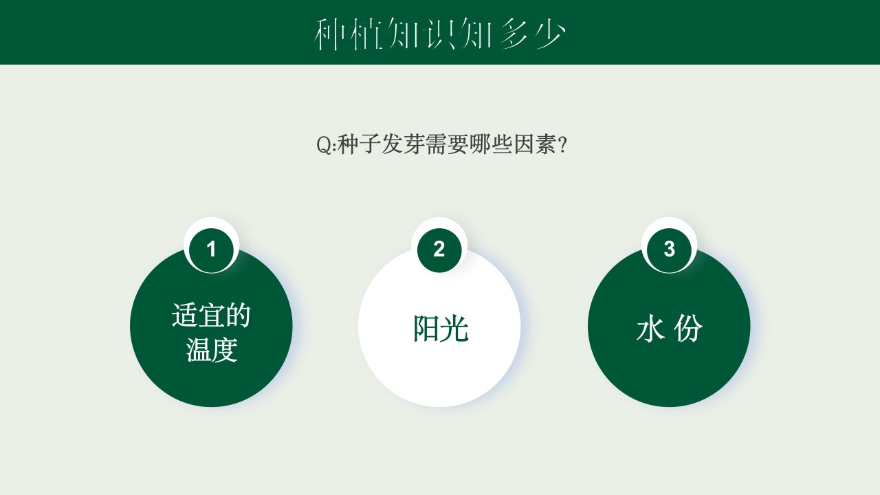 《种下希望收获美好》幼儿园种植活动PPT课件5