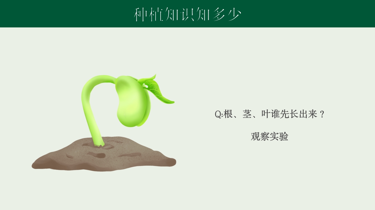 《种下希望收获美好》幼儿园种植活动PPT课件6