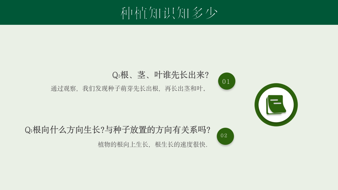 《种下希望收获美好》幼儿园种植活动PPT课件7