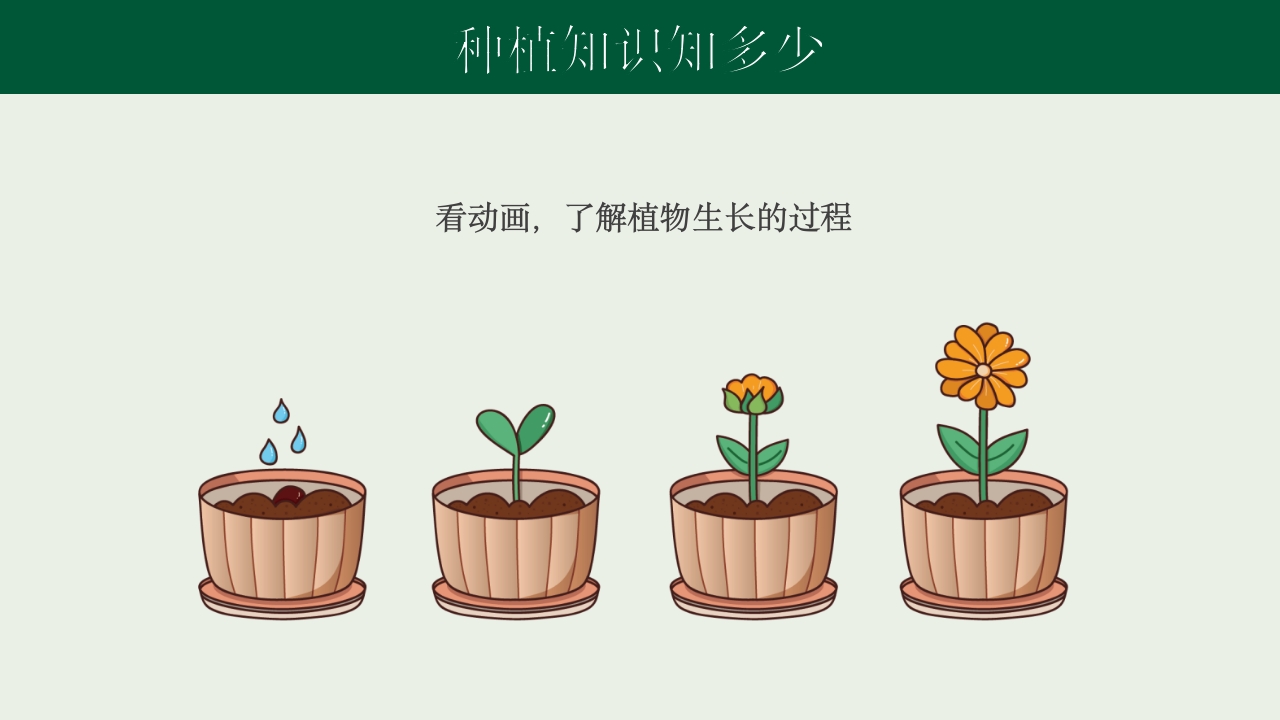 《种下希望收获美好》幼儿园种植活动PPT课件8