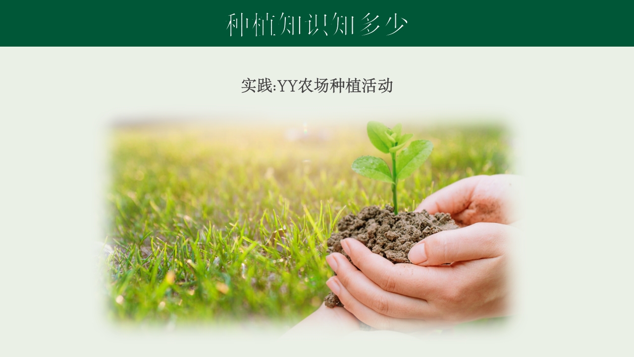 《种下希望收获美好》幼儿园种植活动PPT课件9