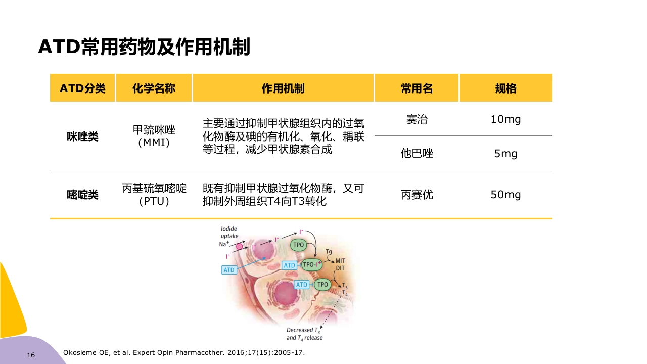 甲亢药物治疗ppt课件16