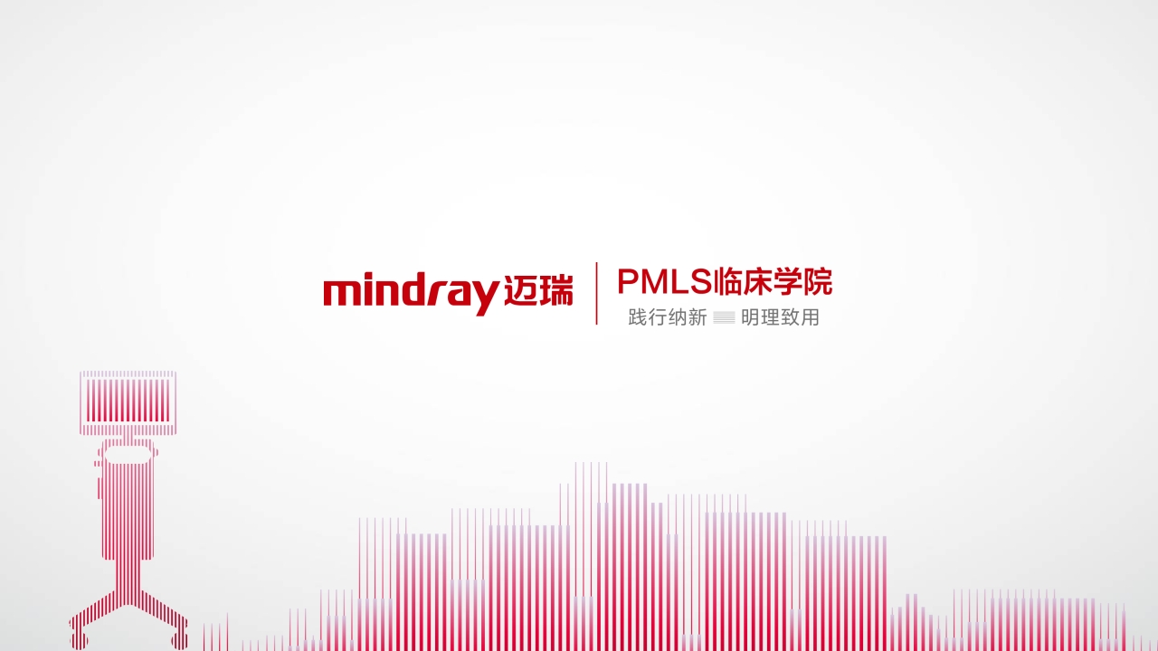 内源性peepPPT课件13