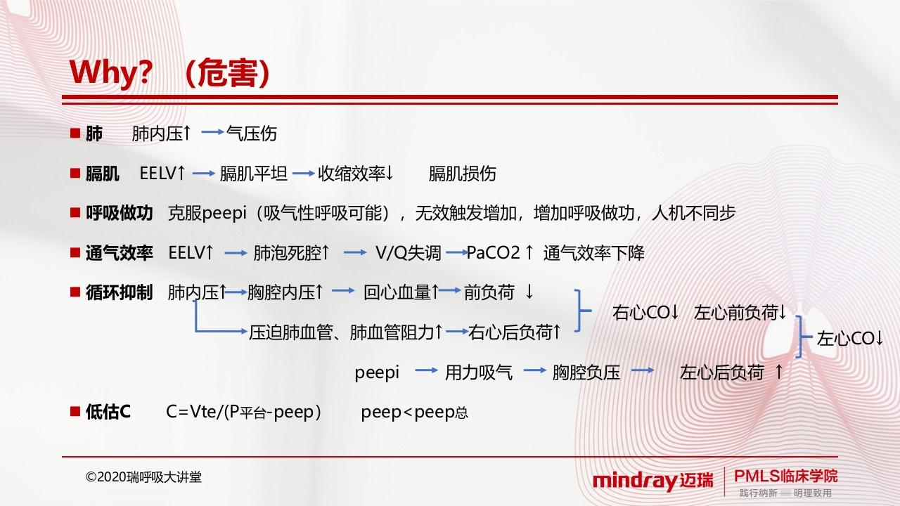 内源性peepPPT课件7