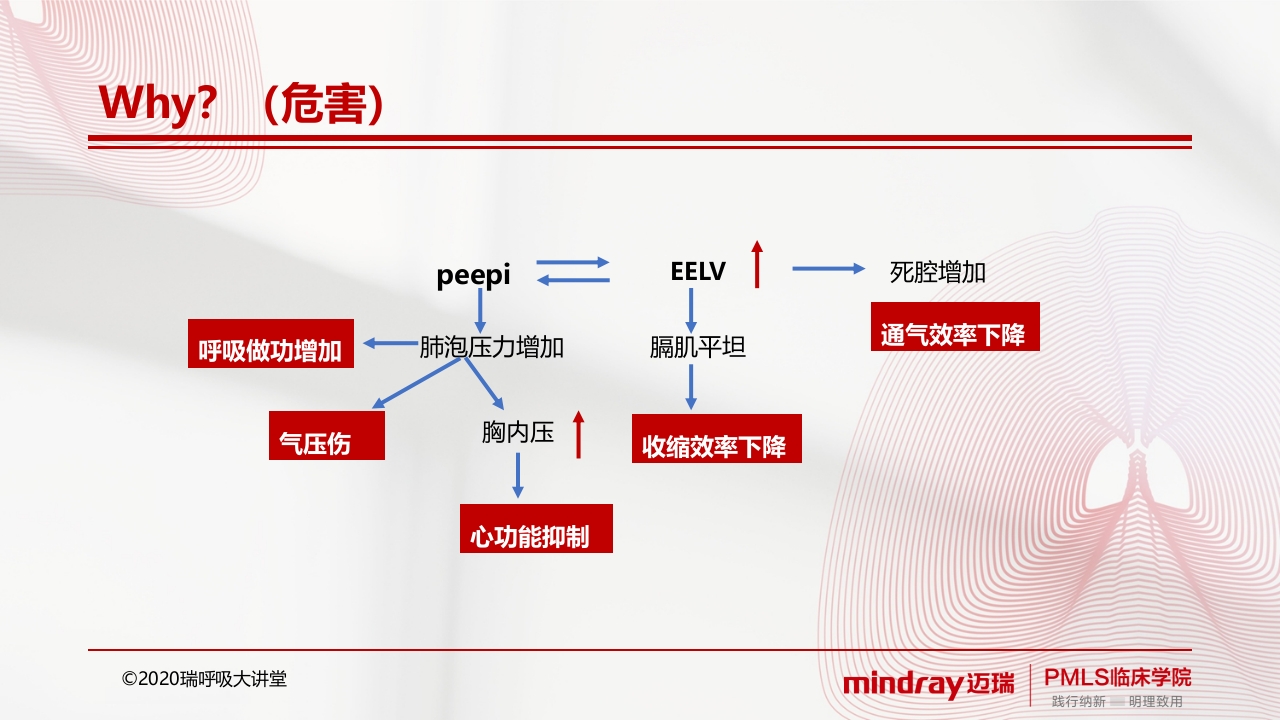 内源性peepPPT课件8