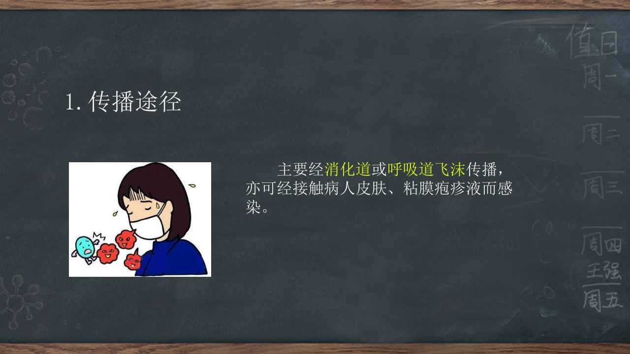 春季传染病预防知识ppt课件27