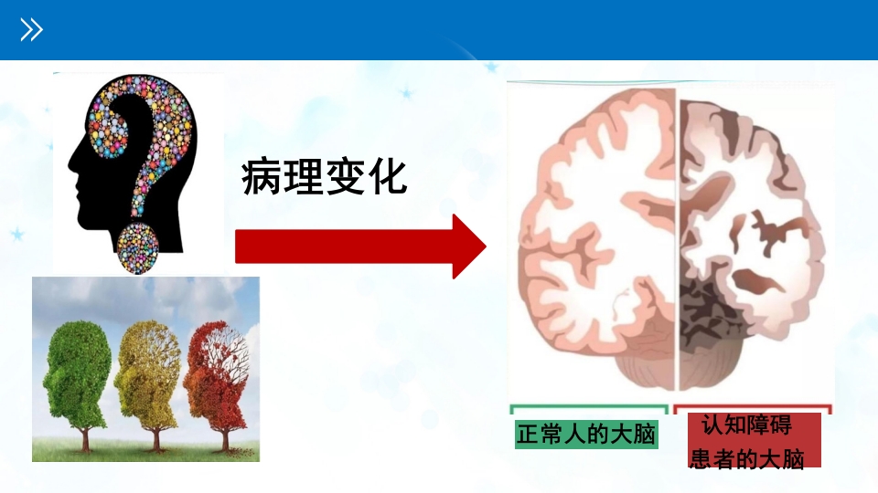 认知障碍患者进食问题评估与护理PPT课件5