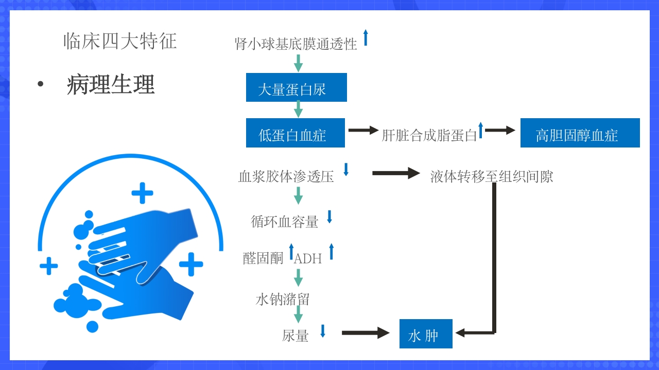 原发性肾病综合征护理查房PPT课件8