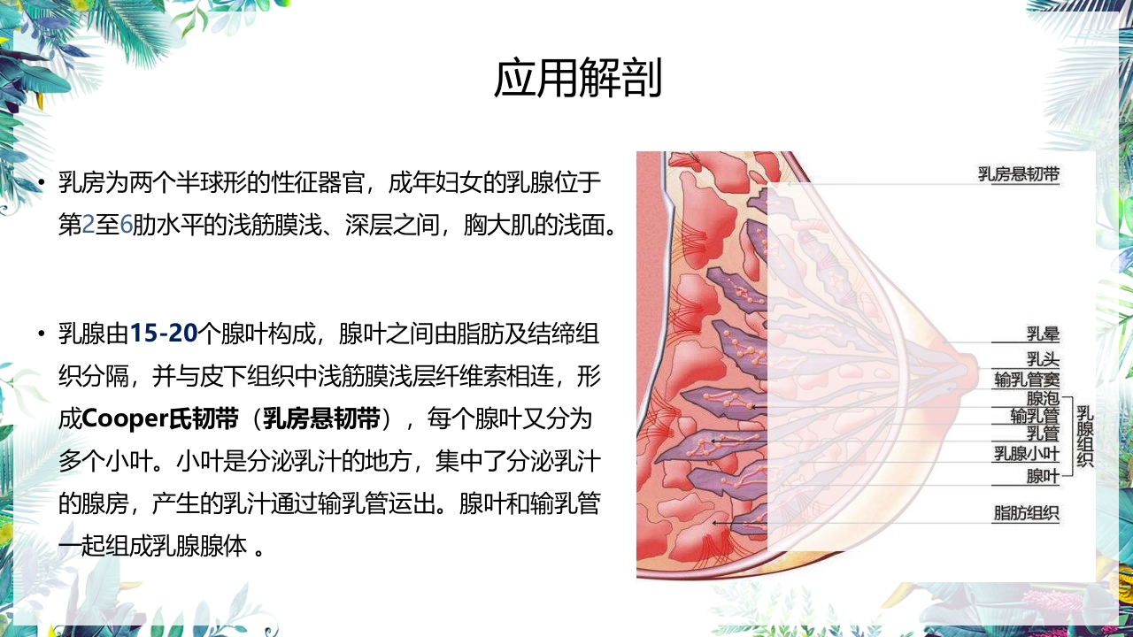 乳癌改良根治术护理配合PPT课件4