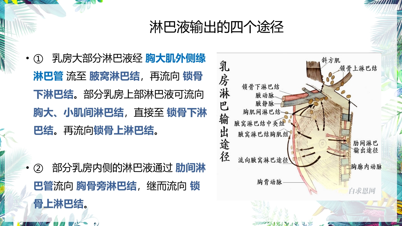乳癌改良根治术护理配合PPT课件5
