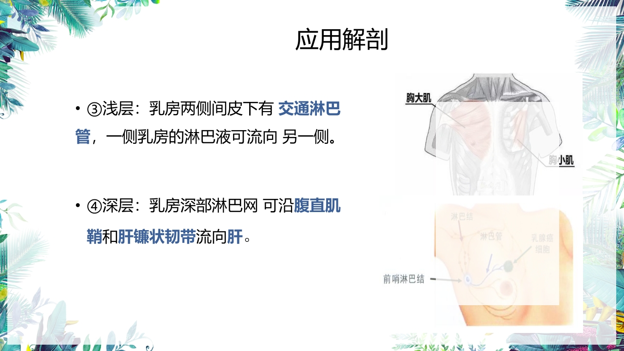 乳癌改良根治术护理配合PPT课件6