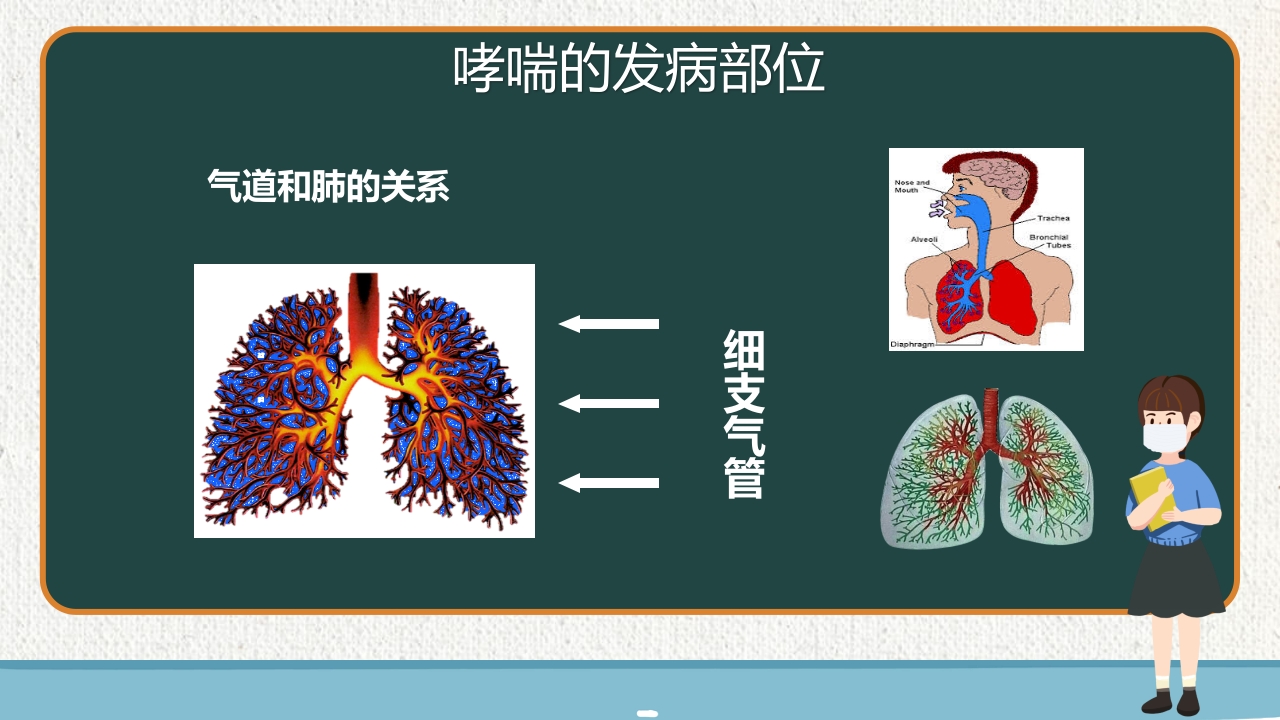 支气管哮喘健康教育PPT课件5