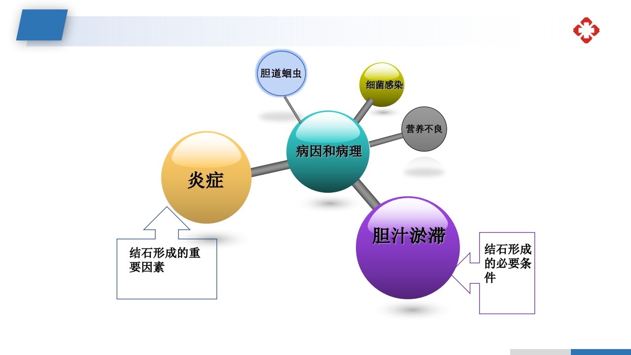 肝内胆管结石护理查房PPT课件13