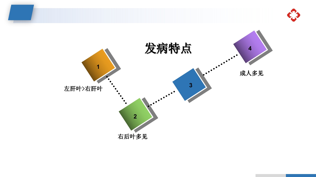 肝内胆管结石护理查房PPT课件14