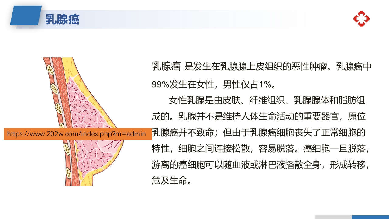 乳腺癌根治术后护理查房PPT课件4