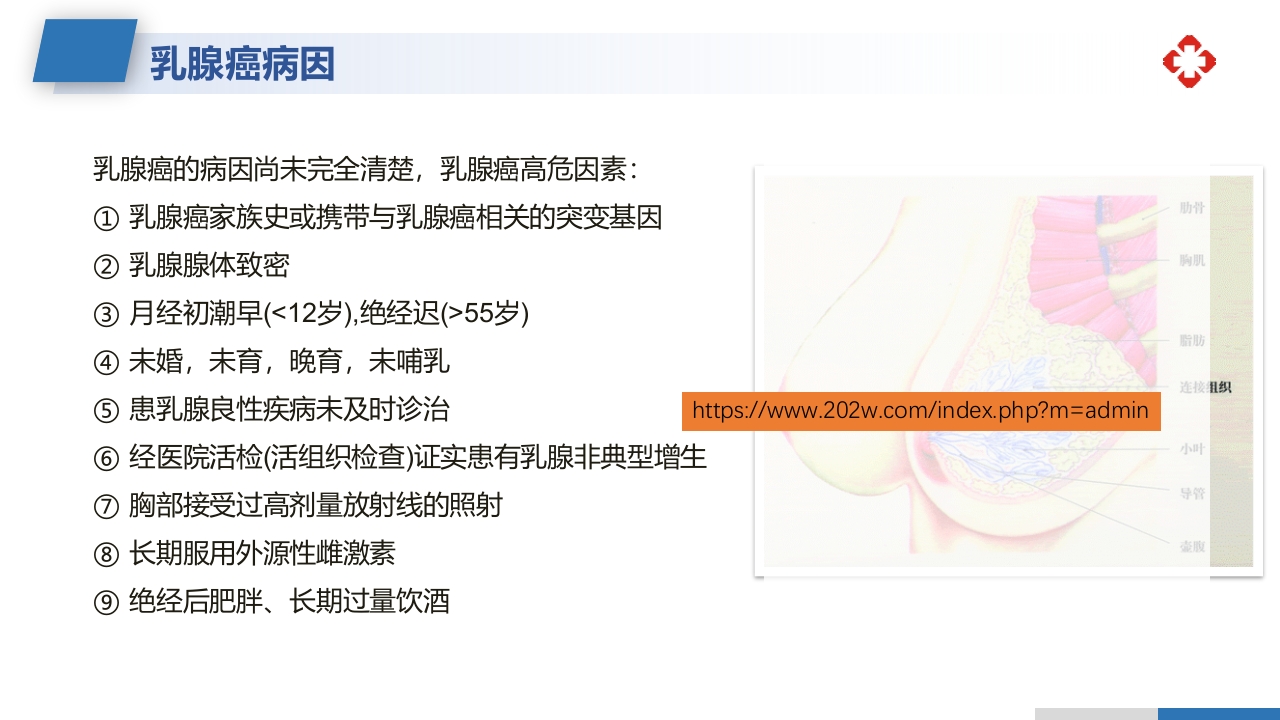 乳腺癌根治术后护理查房PPT课件5