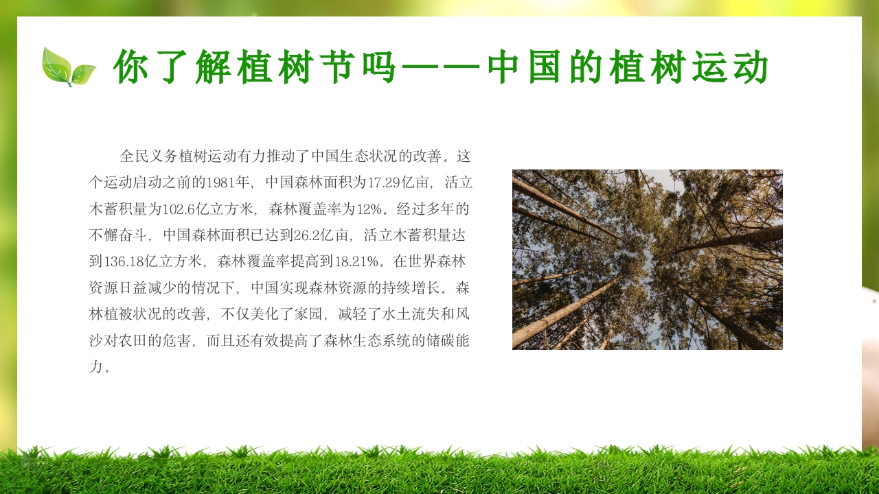 中小学植树节主题班会PPT课件11