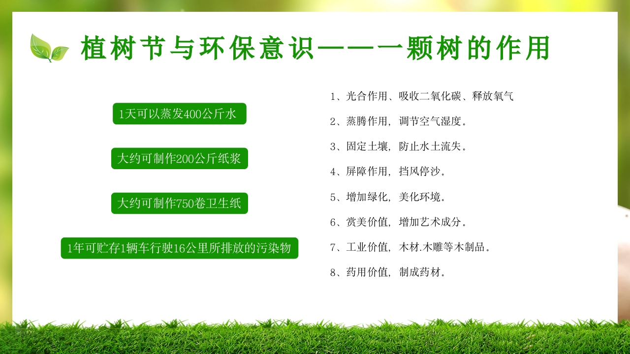 中小学植树节主题班会PPT课件14