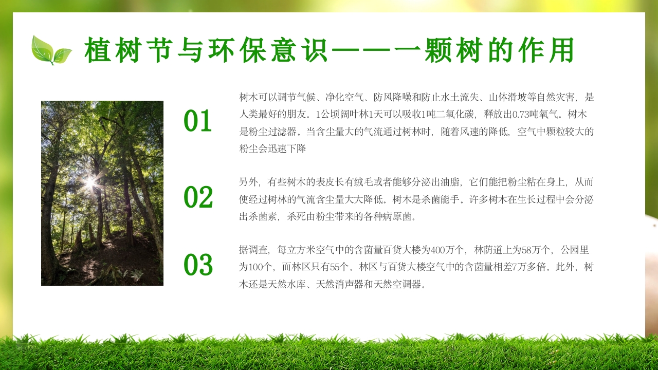 中小学植树节主题班会PPT课件15