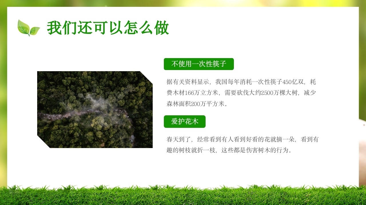 中小学植树节主题班会PPT课件23