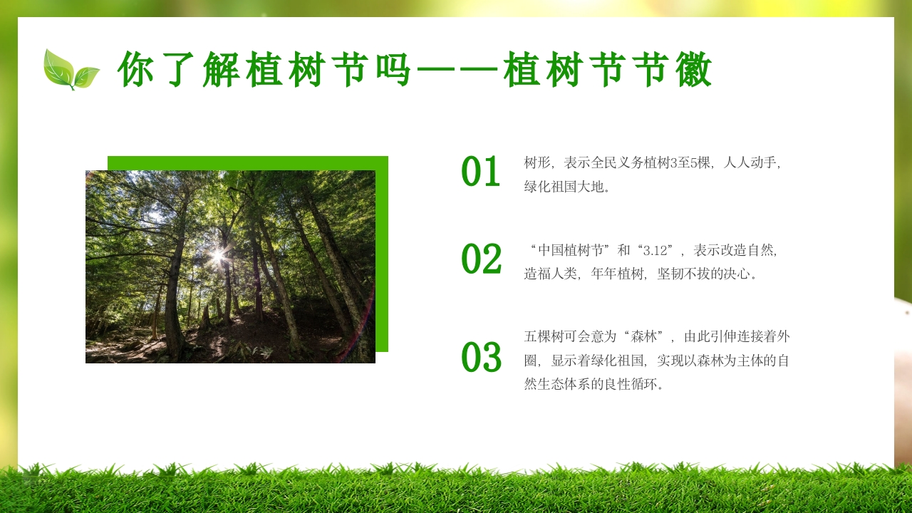 中小学植树节主题班会PPT课件5