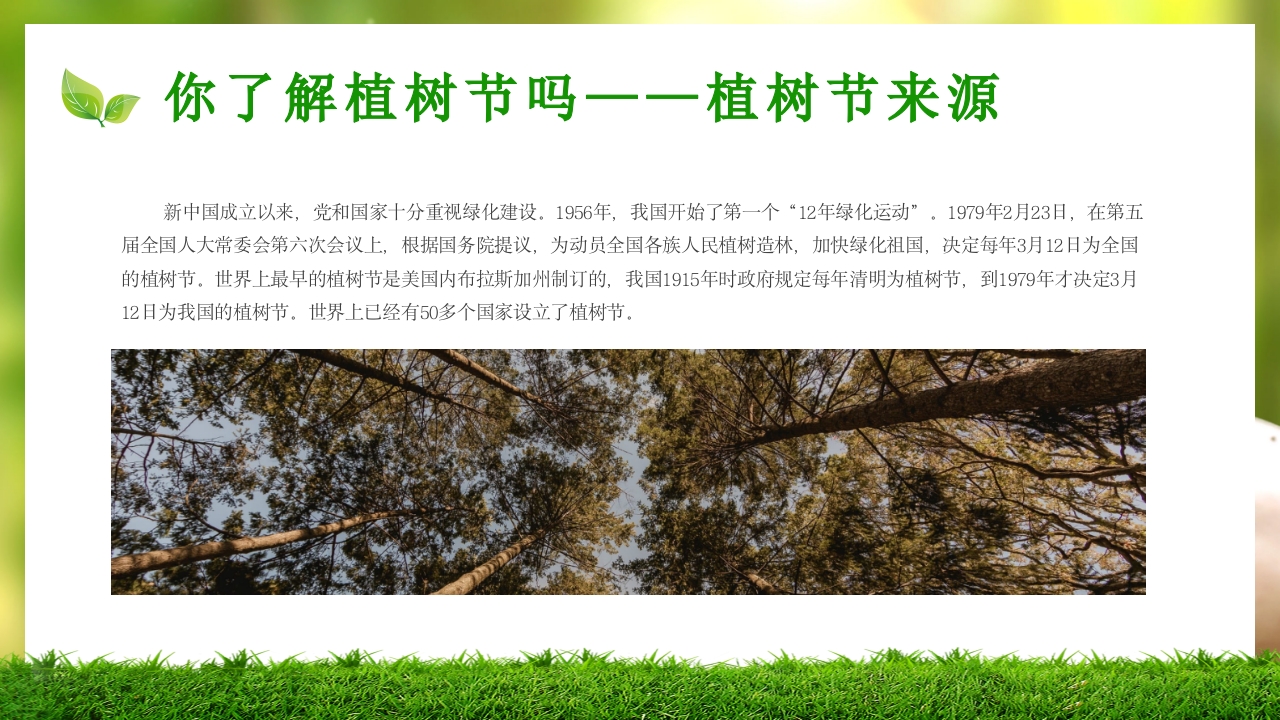 中小学植树节主题班会PPT课件6