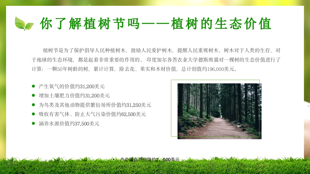 中小学植树节主题班会PPT课件9