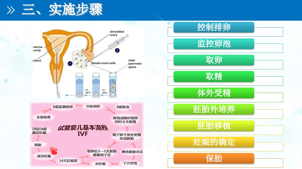 试管婴儿技术PPT课件7