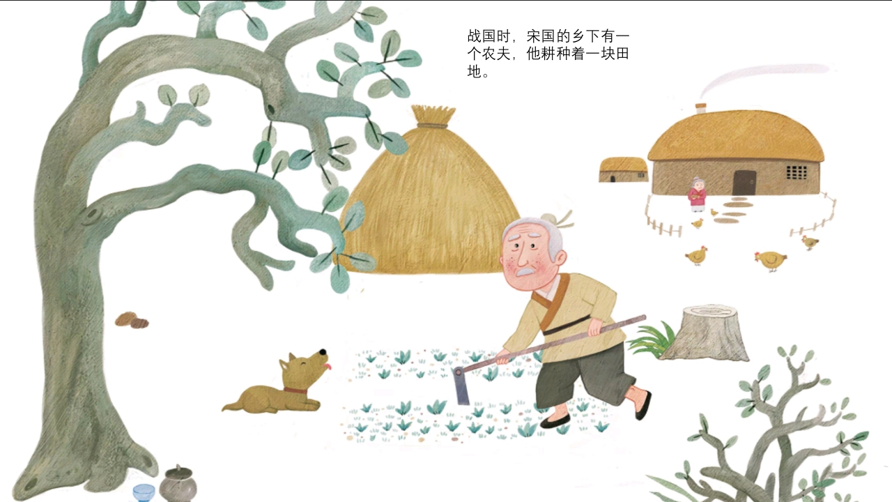 《守株待兔》儿童成语故事绘本PPT课件2