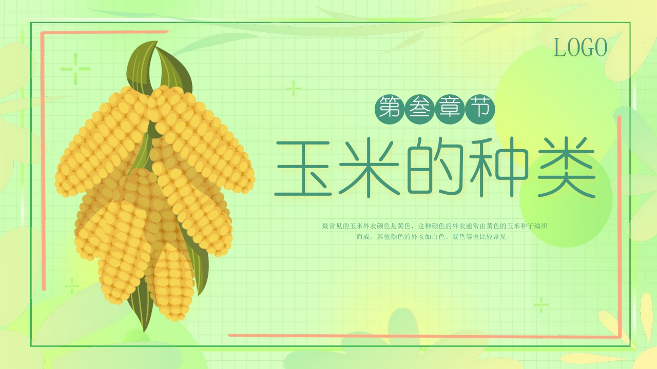 《探索神奇的玉米世界》幼儿园认识玉米教学PPT课件11