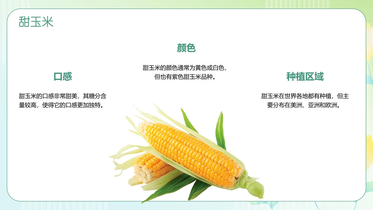 《探索神奇的玉米世界》幼儿园认识玉米教学PPT课件12
