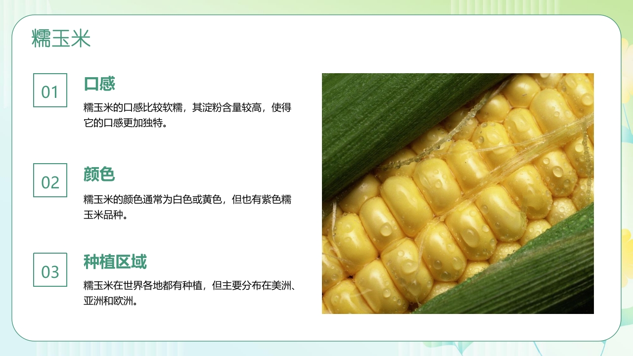 《探索神奇的玉米世界》幼儿园认识玉米教学PPT课件13