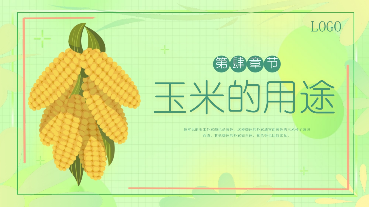 《探索神奇的玉米世界》幼儿园认识玉米教学PPT课件15