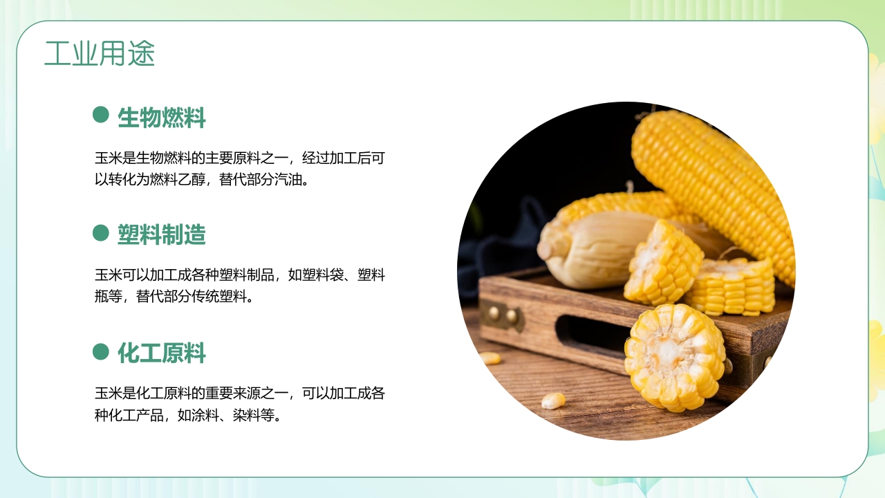 《探索神奇的玉米世界》幼儿园认识玉米教学PPT课件18