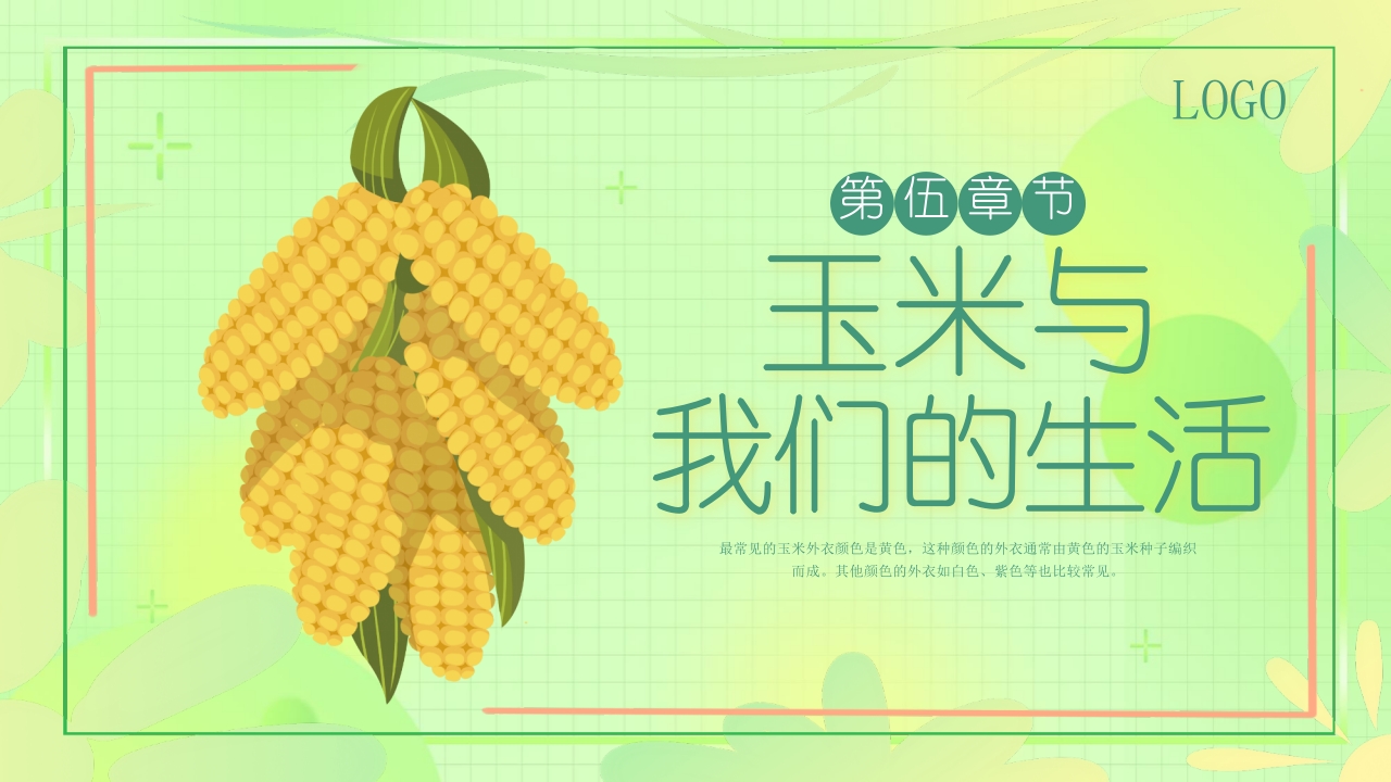 《探索神奇的玉米世界》幼儿园认识玉米教学PPT课件19