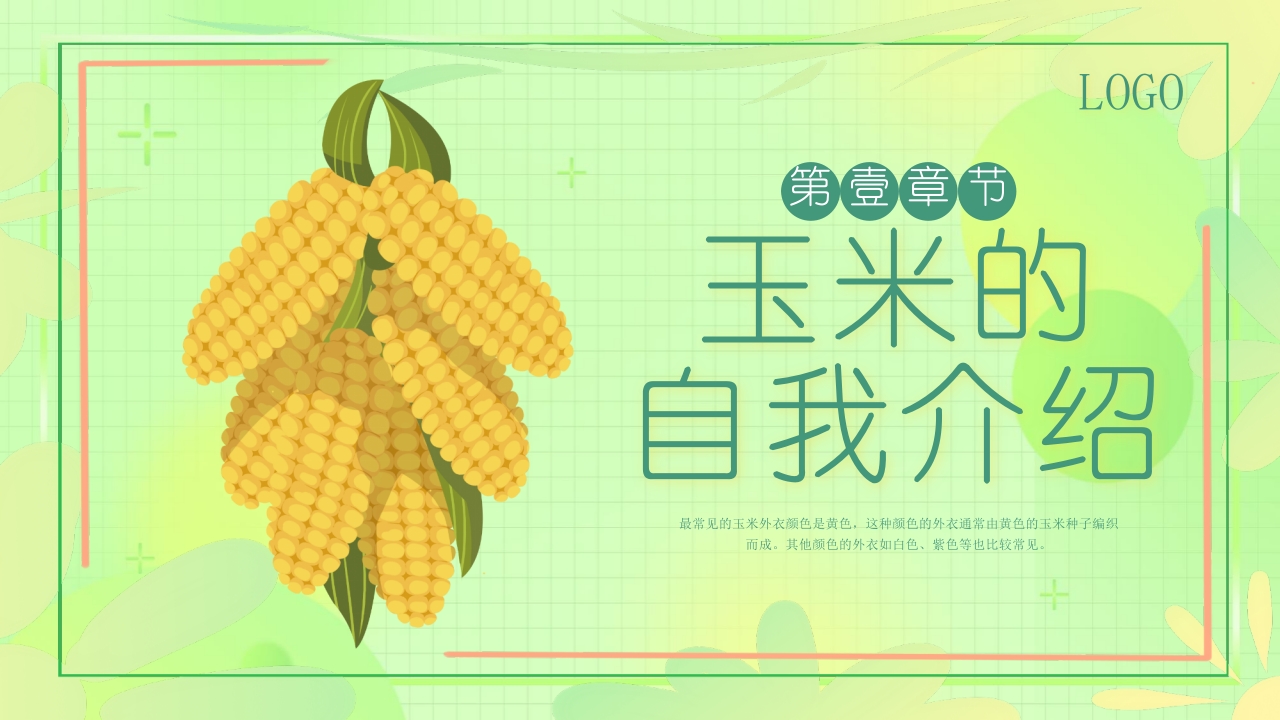 《探索神奇的玉米世界》幼儿园认识玉米教学PPT课件3