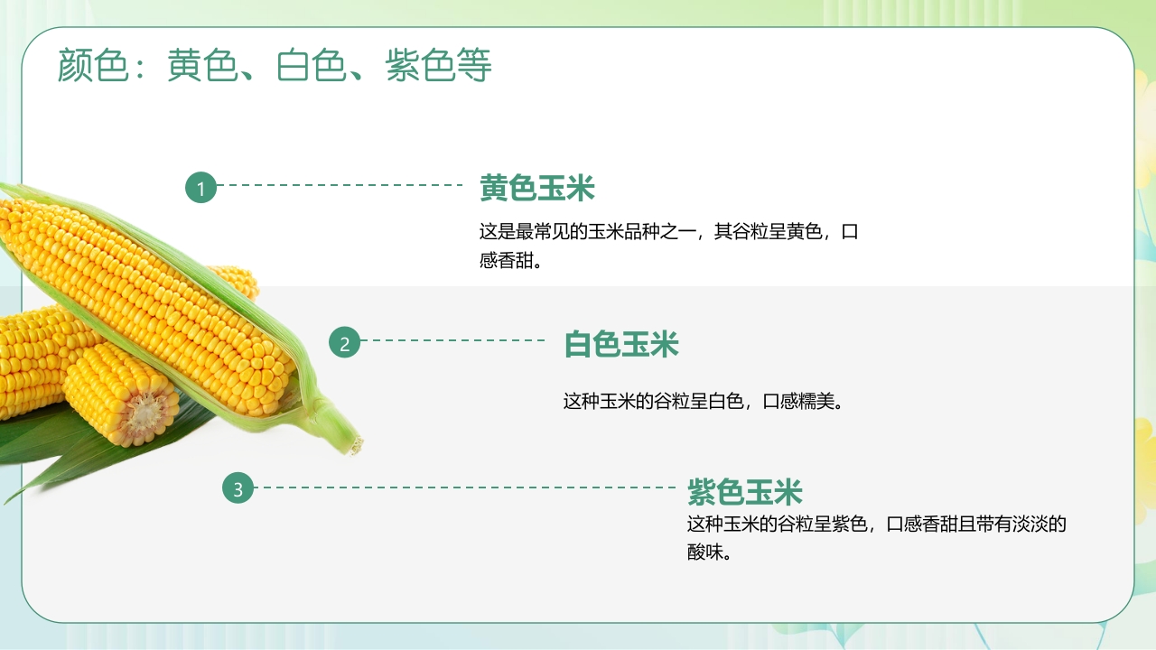 《探索神奇的玉米世界》幼儿园认识玉米教学PPT课件5